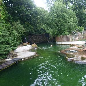 Pinniped exhibit - Housing South American fur seals at the time, 2015-07-19