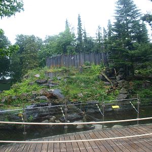 Polar bear exhibit, 2015-07-19