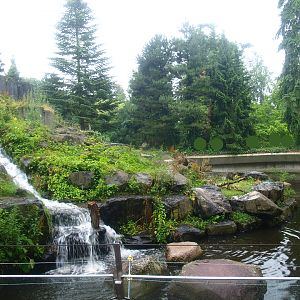 Polar bear exhibit, 2015-07-19