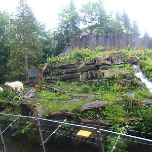 Polar bear exhibit, 2015-07-19