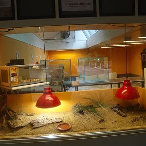 Reptile and amphibian breeding center, 2015-07-19