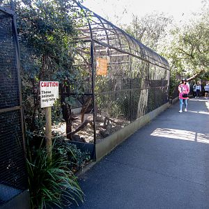 Parrot Aviaries
