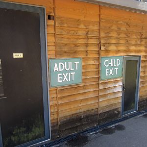 Exit from the Kangaroo Walkthough