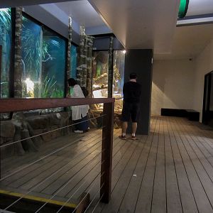 Reptile house interior