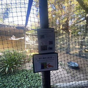 American Black Vulture Exhibit