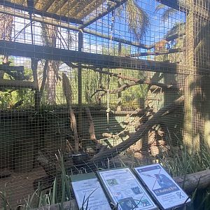 Black-Capped Capuchin Exhibit