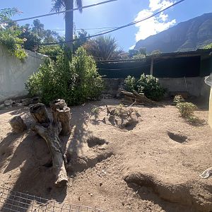 Rock Hyrax/ Cape Ground Squirrel Exhibit