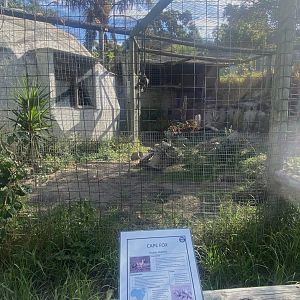 Cape Fox Exhibit