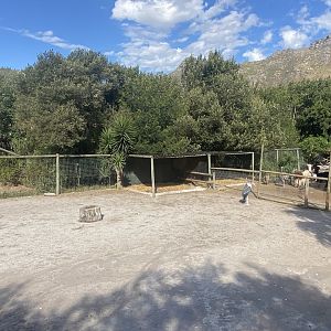 Marabou Stork/Emu Exhibit