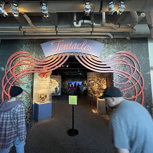 Tentacles (closing september 5)