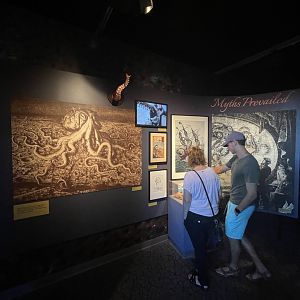 Tentacles (closing september 5)