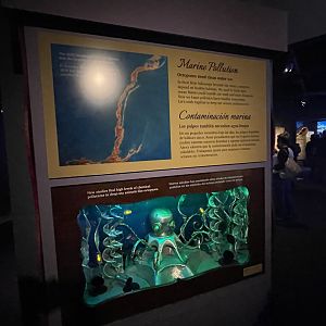 Marine pollution (Nemo Gould)