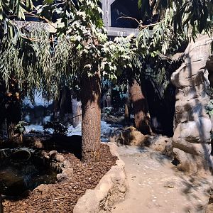 Night safari - Daylight settings