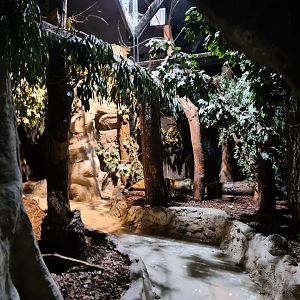 Night safari - Daylight settings