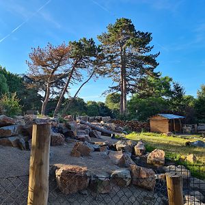 New exhibit: Argentine Cerrado