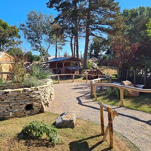 Argentine Cerrado - Patagonian mara walkthrough