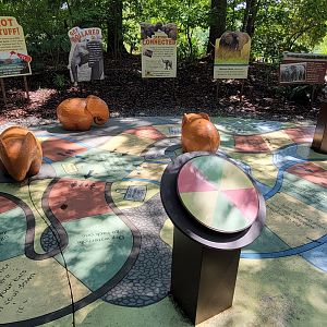 Aug. 2022 - Watani Grasslands Reserve - Elephant Game