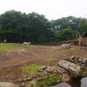Savanna exhibit, 2015-07-19