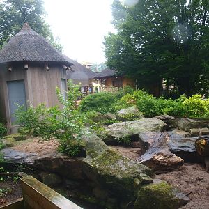 Meerkat exhibit, 2015-07-19