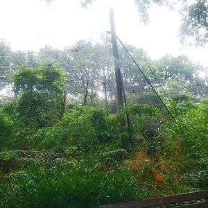 Jaguar exhibit - Former Sri Lankan leopard exhibit, 2015-07-19