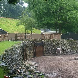 Savanna exhibit - Gate and passage to stables, 2015-07-19