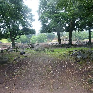 Savanna exhibit, 2015-07-19