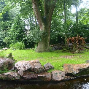 Marabou exhibit, 2015-07-19