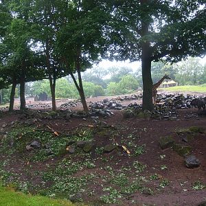 Savanna exhibit - Tree zone, 2015-07-19