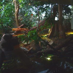 Asia House - Chinese alligator exhibit (Former Asian water monitor exhibit), 2015-07-19