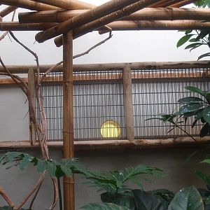 Asia House - Connections to off-show bird housing, 2015-07-19