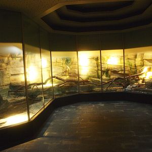 Asia House terrariums, 2015-07-19