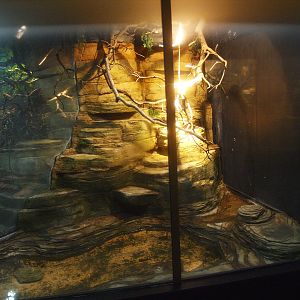 Asia House - Terrarium, 2015-07-19