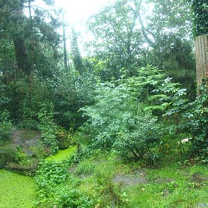 Jaguar exhibit - Former Amur tiger exhibit, 2015-07-19