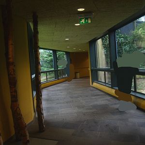 Jaguar viewing corridor, Former Amur tiger viewing corridor, 2015-07-19