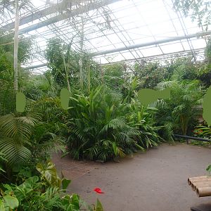 View in the Oasia greenhouse, 2015-07-19