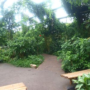 View in the Oasia greenhouse, 2015-07-19