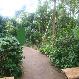 View in the Oasia greenhouse, 2015-07-19