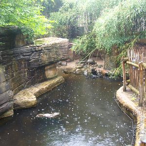 Asian small-clawed otter exhibit, 2015-07-19