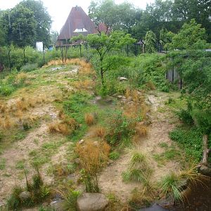 African lion exhibit, 2015-07-19