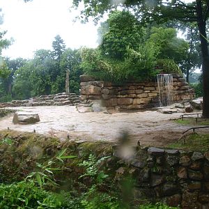 Asian elephant exhibit, 2015-07-19
