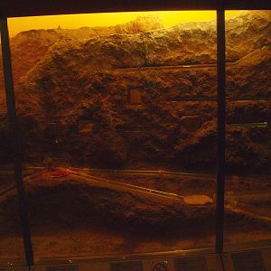 Naked mole-rat facility, 2015-07-19