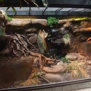 Africa House - Ball python terrarium, 2015-07-19