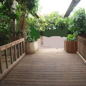 Africa House - Walkway and viewing areas for crocodile exhibits, 2015-07-19