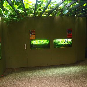 Africa House - Freshwater tanks, 2015-07-19