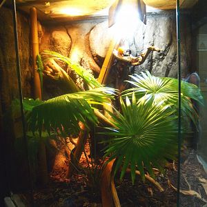 Africa House - Terrarium, 2015-07-19