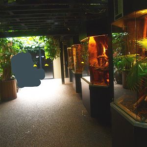 Africa House - Terrarium corridor, 2015-07-19