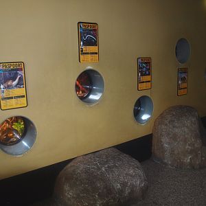 Africa House - Wall with invertebrate terrariums, 2015-07-19