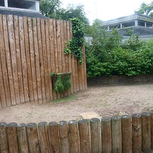 African spurred tortoise outdoor exhibit next to the Africa House, 2015-07-19