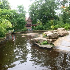 Hippopotamus exhibit, 2015-07-19