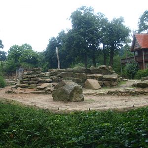 Asian elephant exhibit, 2015-07-19